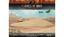 BB220 Extra Large Dune